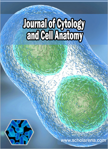 Journal of Cytology and Cell Anatomy