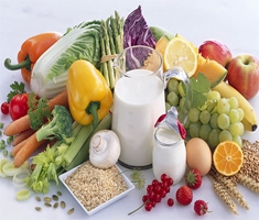 SAJ Nutrition and Food